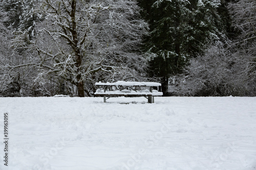 A single picnic bench, covered in snow, in the middle of a snowy white field with trees in the background - Silver Falls State Park, Oregon