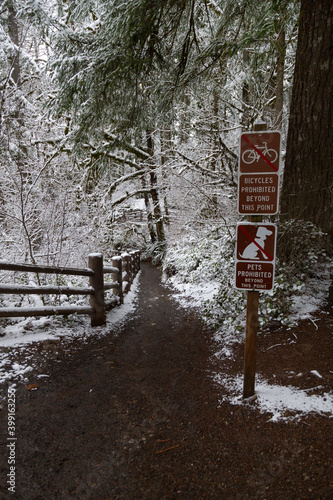 A vertical view of a snow dusted woodland hiking path flanked in tall pine trees and a no biking, no pets sign