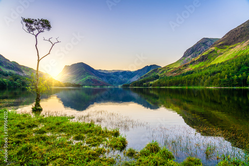 Lone tree at Buttermere lake with sunrise flare. Lake District. Cumbria. UK
