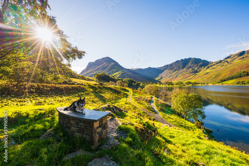 Fototapeta Naklejka Na Ścianę i Meble -  Sunrise at Buttermere lake in Lake District. Cumbria. England