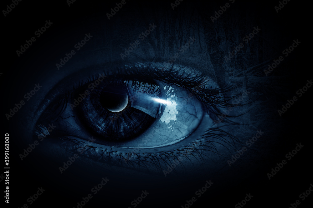 Obraz premium Macro image of human eye