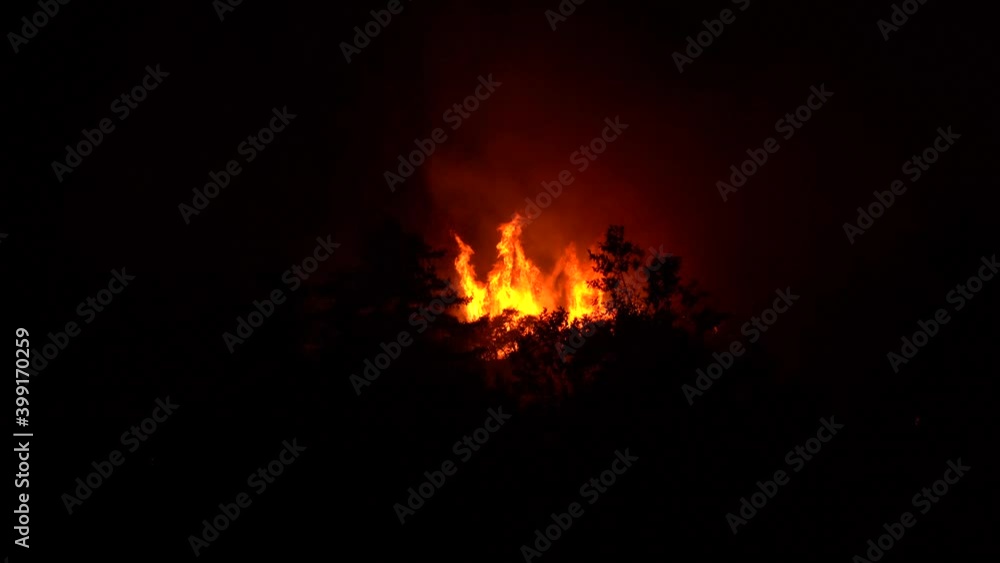 large forest fire burns in dramatic fashion large forest fire burns in dramatic fashion