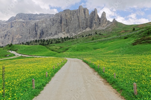 Country roads on green meadows of wildflowers at the foothills of rugged Alpine mountain peaks~ Idyllic view of Sella Tower mountain range in Dolomites, Trentino, Alto Adige, South Tyrol, Italy Europe