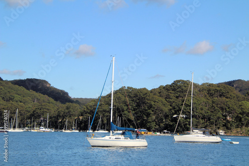 Yachts on the Pittwater  near Scotland Island  Sydney  New South Wales  Australia