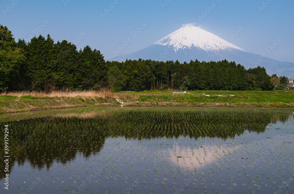 棚田と富士山