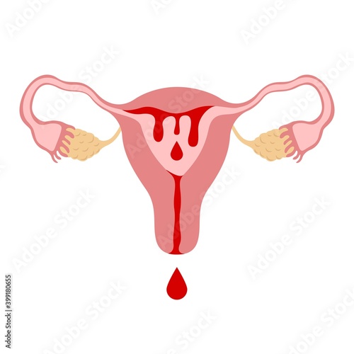 Uterus with blood, menstruation symbol on white background