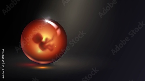 Human embryo in glass ball, pregnancy and obstetrics concept