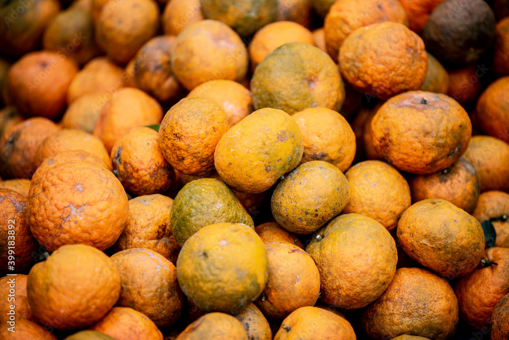 Fresh mandarin oranges fruit or tangerines Fresh mandarin oranges fruit or tangerines