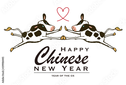 Chinese new year 2021 year of the ox.  Vector illustration on white background.