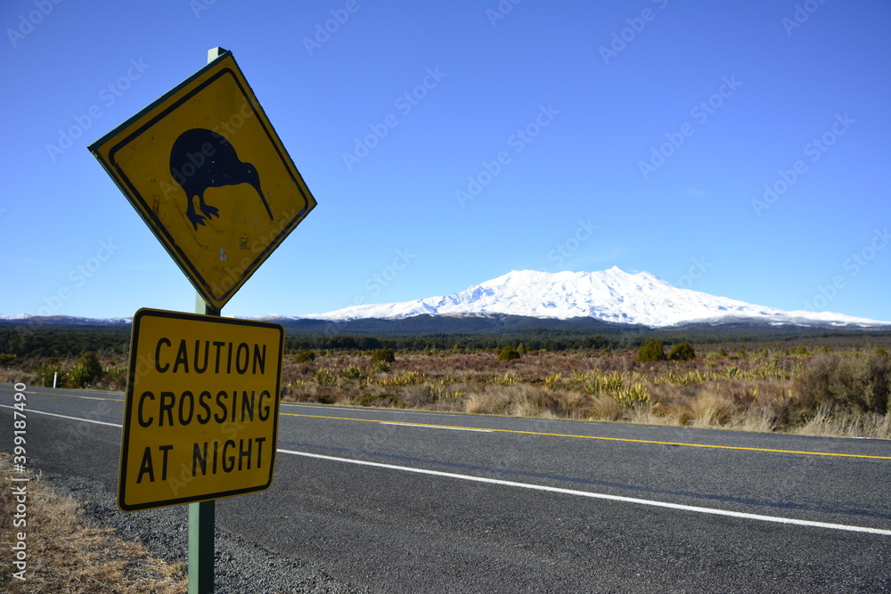new zealand kiwi crossing sign with snow capped mount ruapehu volcano background