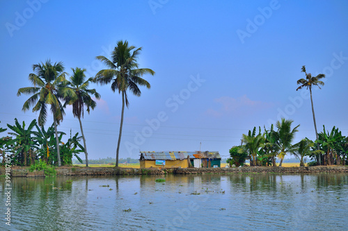 Kerala backwaters near alleppey