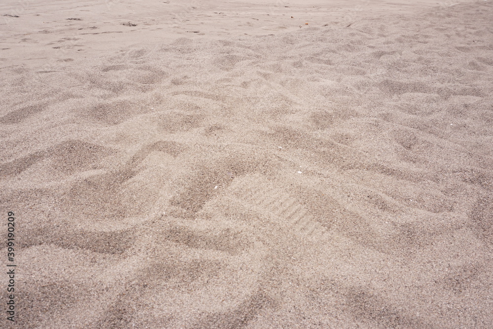 sand ripples on the beach sand ripples on the beach