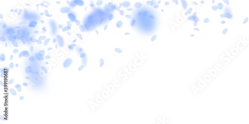 Dark blue flower petals falling down. Immaculate r