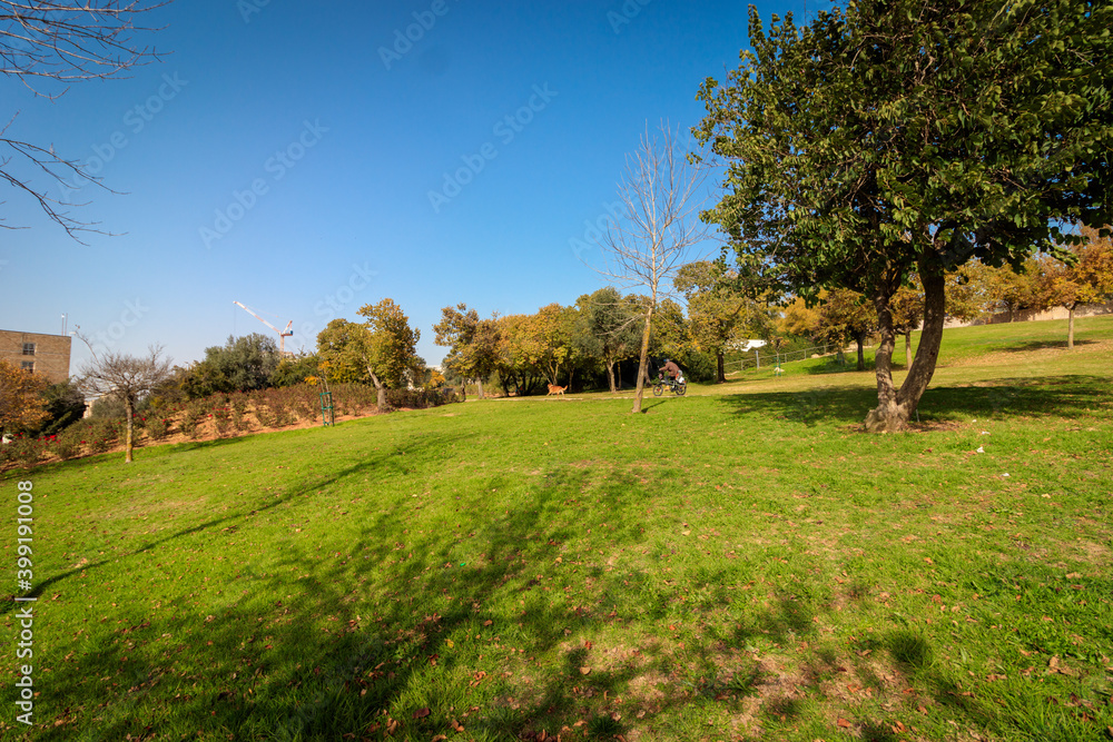 Wohl Rose Park (Hebrew: Gan HaVradim) in Givat Ram, Jerusalem, Israel Wohl Rose Park (Hebrew: Gan HaVradim) in Givat Ram, Jerusalem, Israel