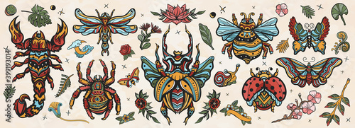 Insects old school tattoo vector collection. Stag beetle, bee, bumblebee, butterfly, snail, scorpion, ladybug, spider, dragonfly. Traditional tattooing style