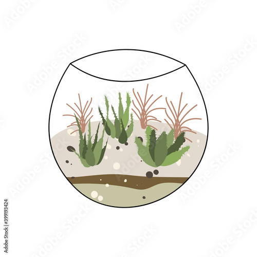 Florarium, glass vase. Succulent plants and cactuses in geometric glass pot. Garden in bottle, diy geometric terrarium, mini ecosystem. Vector flat cartoon illustration