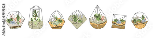 Florarium, glass vase. Succulent plants and cactuses in geometric glass pot. Garden in bottle, diy geometric terrarium, mini ecosystem. Vector flat cartoon illustration