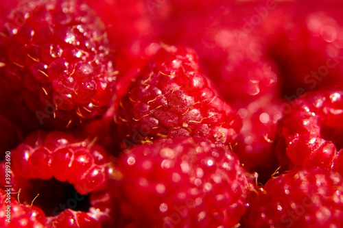 fresh red raspberry background, juicy berries