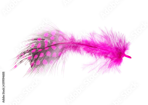 Pink feather isolated on white background. © schankz