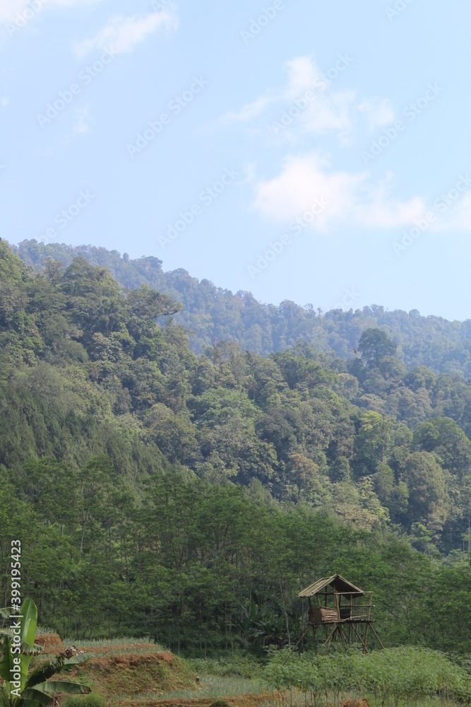 landscape in the mountains