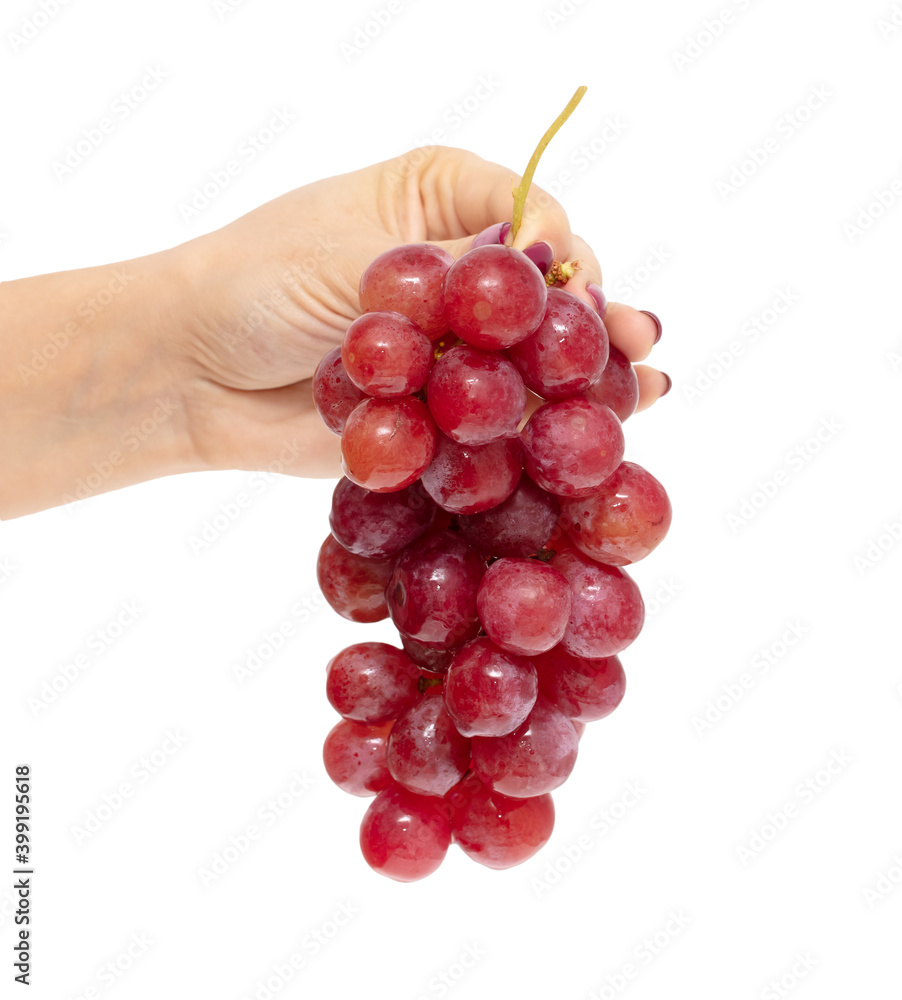 Fototapeta premium Red grapes in hand isolated on white
