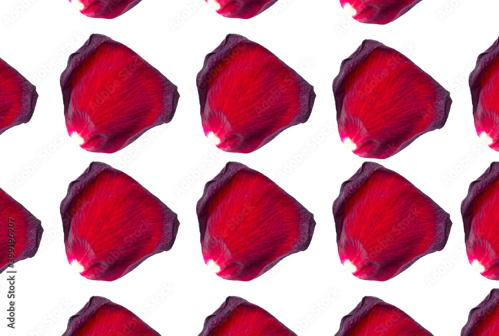 Red rose petals isolated on a white Red rose petals isolated on a white