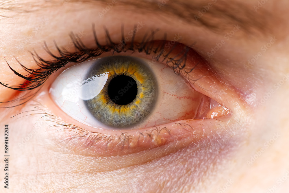 Fototapeta premium woman macro eye. macro photography of human eye