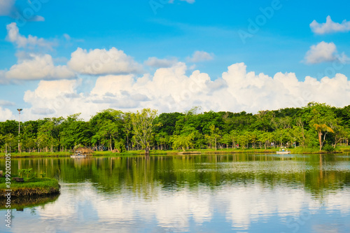 Fototapeta Naklejka Na Ścianę i Meble -  Beautiful pond in public park tree against blue sky cloud