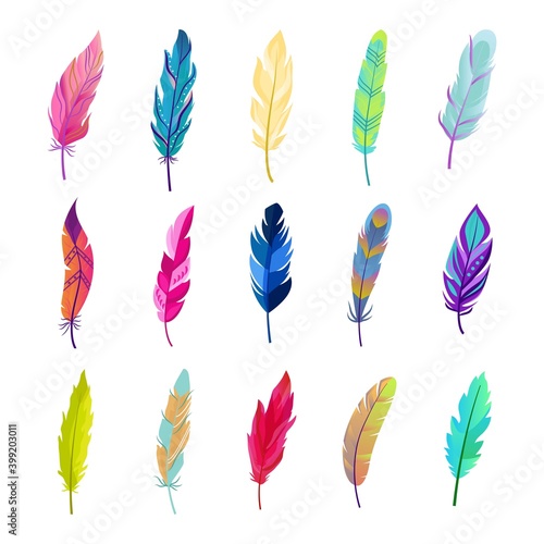 Colored bird feathers set. Bright green fluff design with red tints and soft blue contrast beautiful natural purple peacock tracery with yellow parrot picture orange colorful texture. Exotic vector.