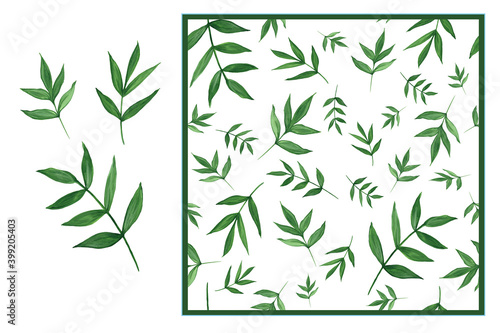 Botanical set - green leaves and seamless pattern. Watercolor design elements isolated on white background. For the layout of cards  wedding invitations  printing on fabric.