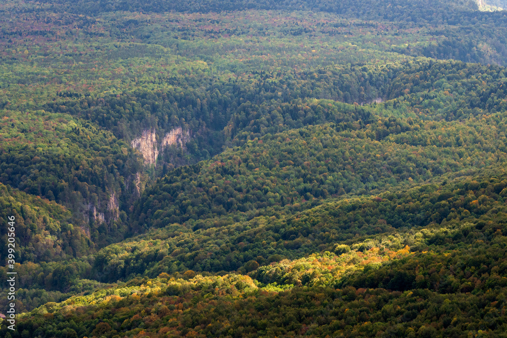 Naklejka premium Mountain landscape. Gorge and mountains covered by forest
