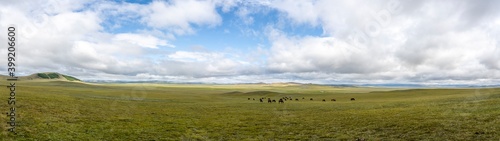 Photos Panorama Steppe Mongolia