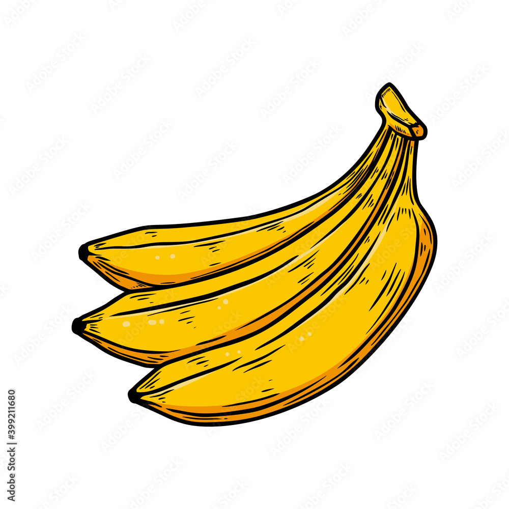 Illustration of banana in engraving style. Design element for poster, card, banner, sign. Vector illustration