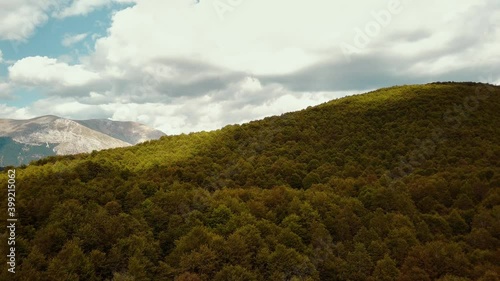 the drone takes off over the forest. Slow rising over endless green leafy tree crowns photo