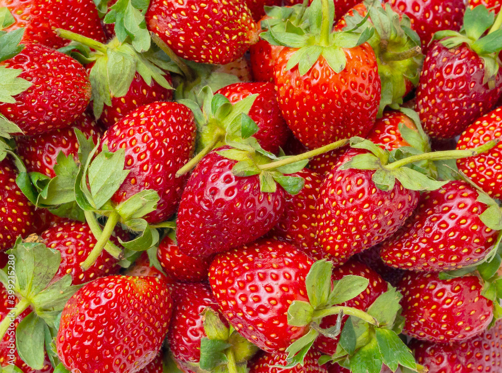Fresh organic Strawberry fruit background Fresh organic Strawberry fruit background