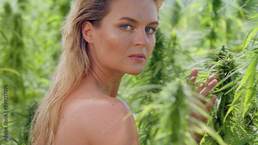 Beautiful white Woman posing in Medical Hemp field.
Means of modern Eco Cosmetics Skin care and alternative medicine. CBD Cannabis Oil plantation. Beautiful white Woman posing in Medical Hemp field.
Means of modern Eco Cosmetics Skin care and alternative medicine. CBD Cannabis Oil plantation.
