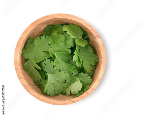 Top view of fresh coriander leaves isolated on white background