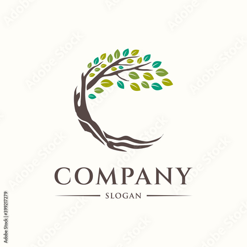 Best tree logo collections, perfect for company logo or branding. initial C tree design template