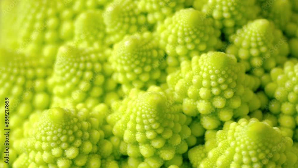 おしゃれ野菜ロマネスコ おしゃれ野菜ロマネスコ