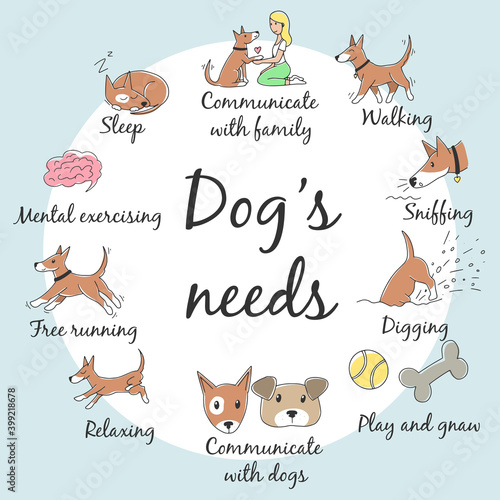 Vector infographics about pet care. Colorful hand drawn icons of dog's needs (sniffing, digging, walking, and others), with titles. Circle scheme on cynology