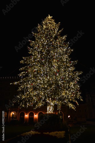 Roma Albero Natale 2020 Piazza Venezia