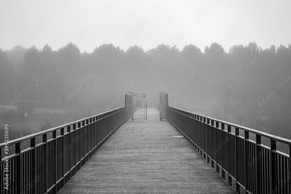 Bridge in the fog on the way to the forest.