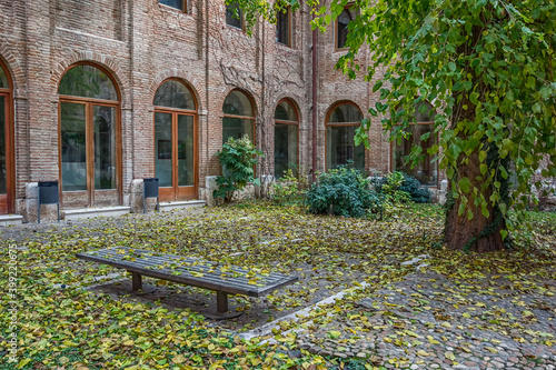 Courtyard in autumn with the leaves of a mulberry tree falling on the ground and on a wooden bench. photo