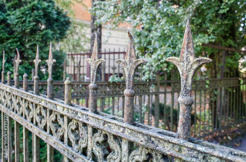 fragment of an old fence