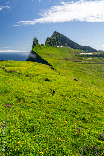 A girl walking through flowering meadows over Hornbjarg cliffs, Hornstrandir peninsula, Westfjords, Iceland photo