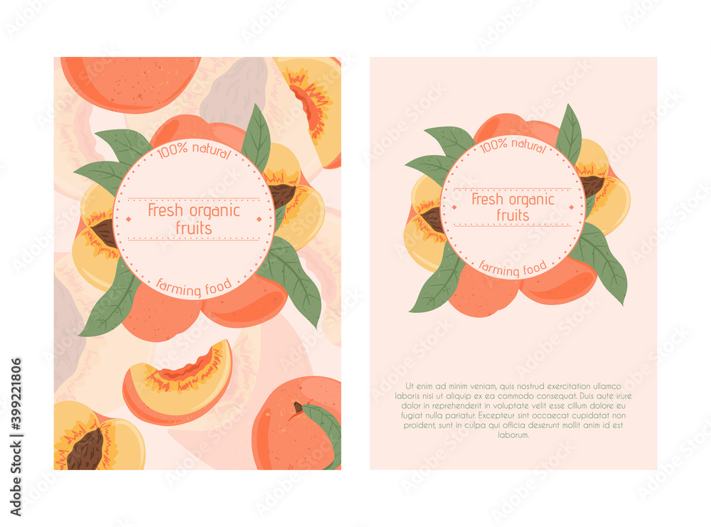 Ripe peaches, whole, sliced and half sliced peaches. Sweet nectarine fruits vector hand drawn card design.