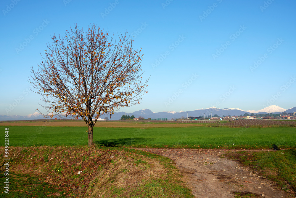 franciacorta Stock Photo Adobe Stock