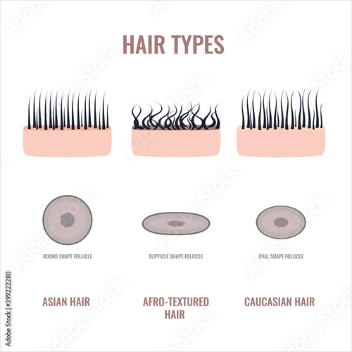 Straight, wavy and curly hair types classification set. Skin and
