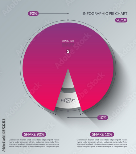 Infographic pie chart template. Share of 90 and 10 percent. Vector illustration