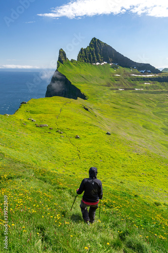 A girl walking through flowering meadows over Hornbjarg cliffs, Hornstrandir peninsula, Westfjords, Iceland photo